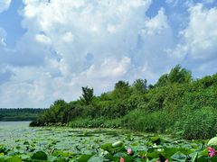 -丁香湖公园