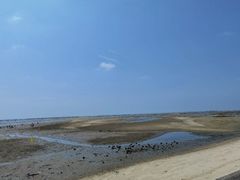 -北海金海湾红树林生态旅游区