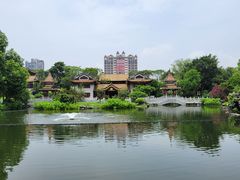 -顺峰山公园