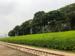 -深圳湾公园(南山区)