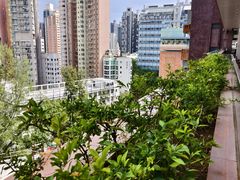 -香港大学