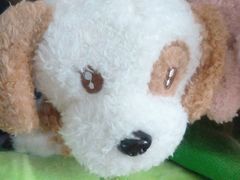 -星际传奇(新都七一国际广场店)