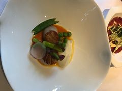 -蝶舍·MAISON PAPILLON