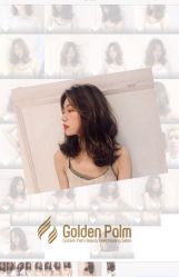 点击看大图 -金棕榈