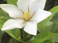 -玻璃桥景区石牛寨