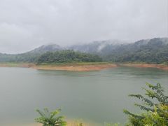 -孔雀湖生态旅游区