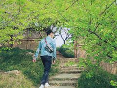 -秀丽东方