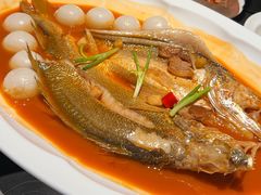 黄鱼烧年糕-锦荟JINHUI·浙江小馆(上海荟聚店)