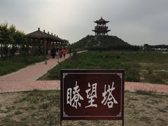-南大港湿地风景区