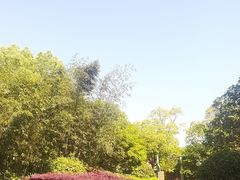 -上海崇明金茂凯悦酒店