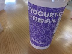 奥利奥芝士水牛乳-一只酸奶牛(来福士店)