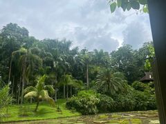 -中国科学院西双版纳热带植物园
