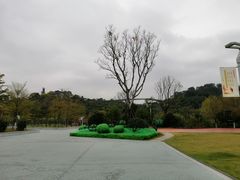 景点-飞凤山奥体公园