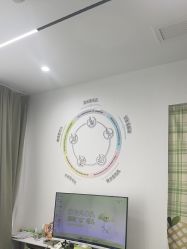 -凡碧诗毛孔清洁收细