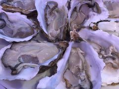 -千岛蚝高压锅生蚝·人参火锅(白云万达店)