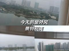 -飞来湖湿地公园
