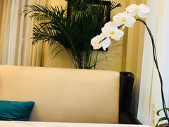 -南山鲜虾面·活鲜小馆·海味大连菜(南山总店)