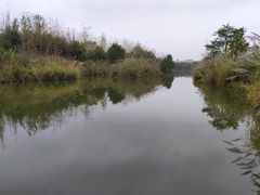 -白鹭湾湿地公园