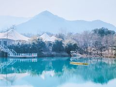 -白茶原·一片叶子
