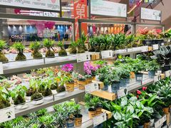 -鹿岛生活(熙地港店)