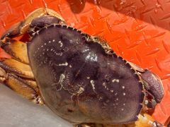 -珍宝海鲜JUMBO Seafood(北京SKP店)