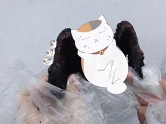 秘制鸡翅-大叔家福鼎小吃(十全街店)