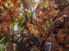 -锦上中式酒馆(南内环店)