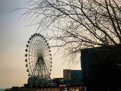 -琴岛之星摩天轮