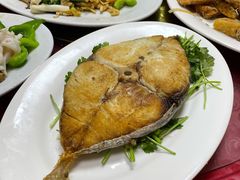 马鲛鱼-肥弟大排档(汕樟路店)