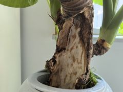 -合家亲妈妈菜·博山菜老字号(联通路店)