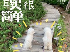 -莫子山公园