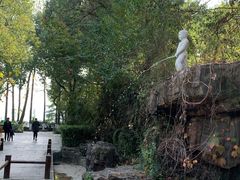 -天目湖山水园