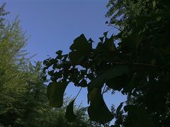 -辽宁大学(崇山校区)