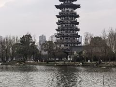 -洋湖国家湿地公园