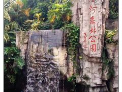 -广州市流溪河国家森林公园