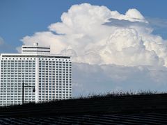 -广州白天鹅宾馆