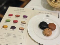 -TWG Tea(台北101购物中心沙龙及精品门市)