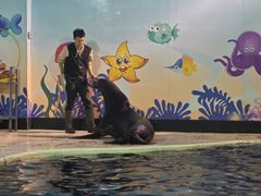 -太平洋海底世界