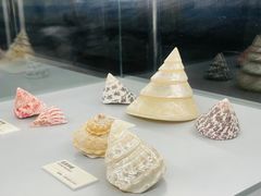 -天津古林古海岸遗迹博物馆