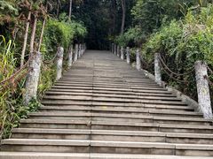 -铁山坪森林公园