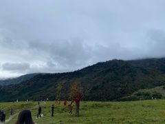 -硗碛藏寨·神木垒景区