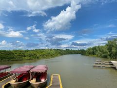 -东寨港红树林旅游区