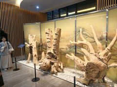 -香市公园-中国沉香文化博物馆