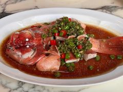 青花椒蒸东星斑-遇外滩(BFC外滩金融中心店)
