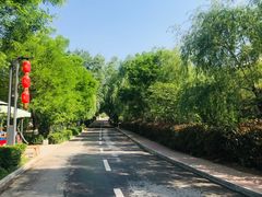 -渭南桃花源民俗文化园