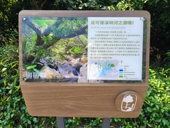 -梧桐山风景名胜区