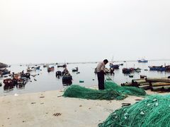 -枸杞岛
