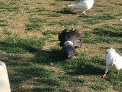 -南通洲际绿博园