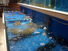 水产区-姜君·千岛湖鱼头馆(浦东大道店)