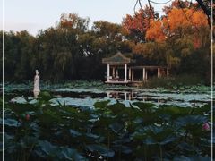 -北陵公园